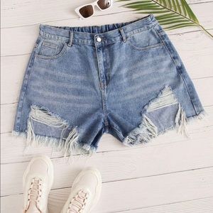 Ripped Raw Hem Denim Shorts